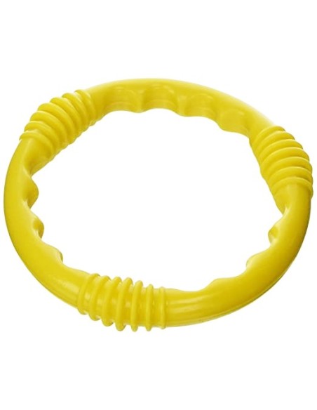 Zabawka pierścień do wyławiania